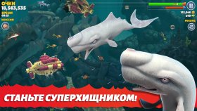 hungry-shark-evolution-1