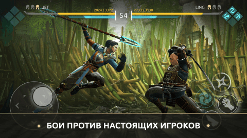 shadow-fight-arena-1